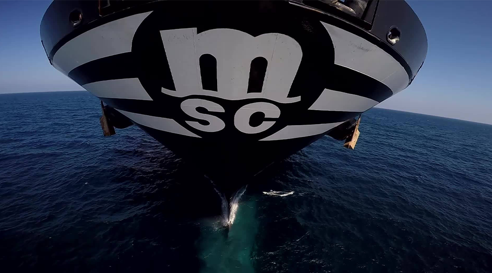 MSC Mediterranean Shipping Co 2